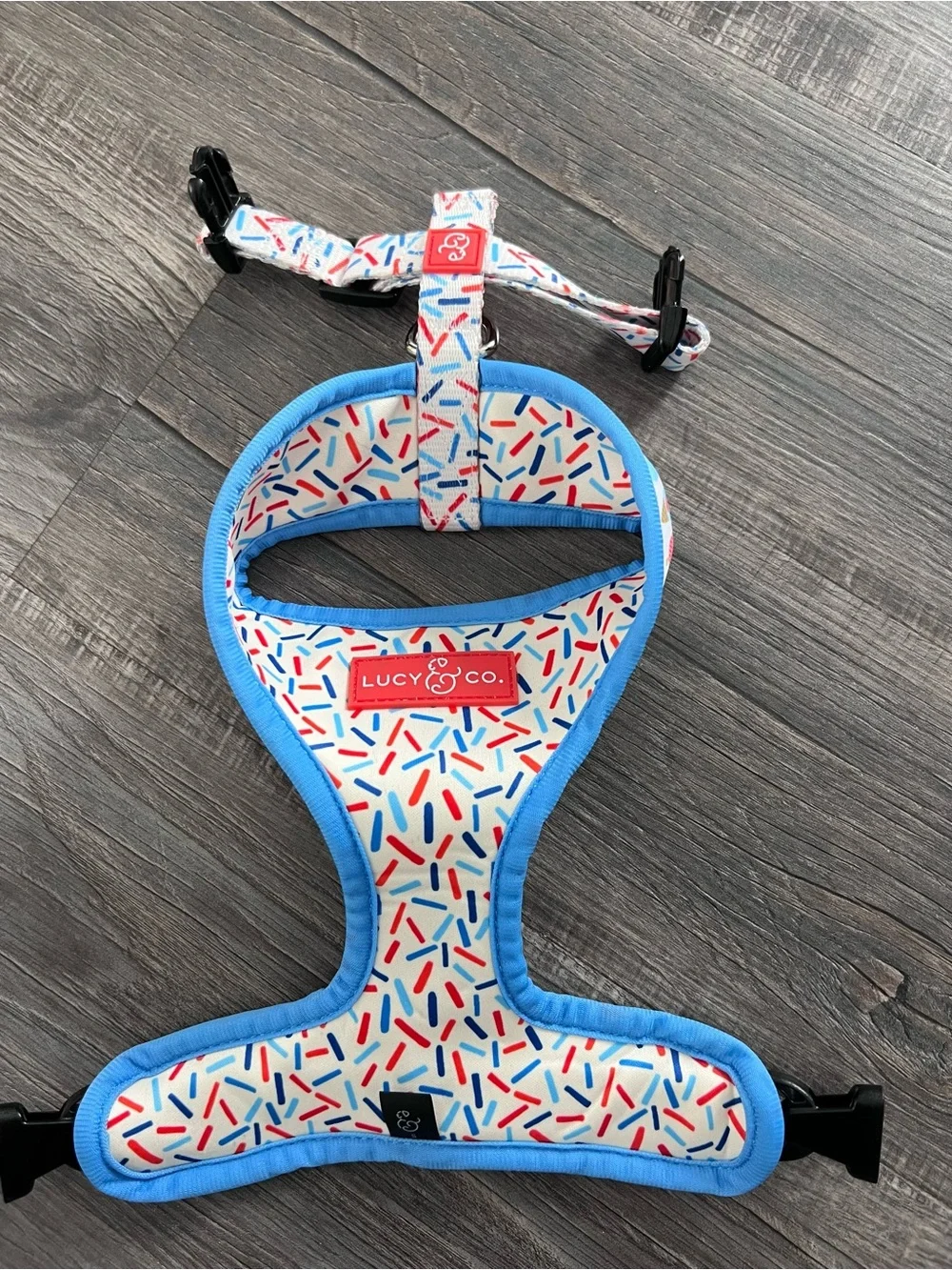 Lucy & Co. Ice Cream Print Dog Harness in Blue